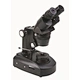Binocular Gemological Microscope
